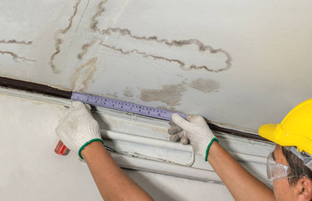 Reliable Burst Pipe Cleanup contractor in Trimble, TN by Water Damage Irwin